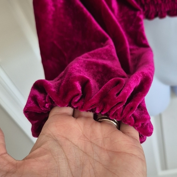 Anthropologie Raspberry Magenta Deep Pink Velvet Smocked Long Sleeve Top XXS - Picture 7 of 14